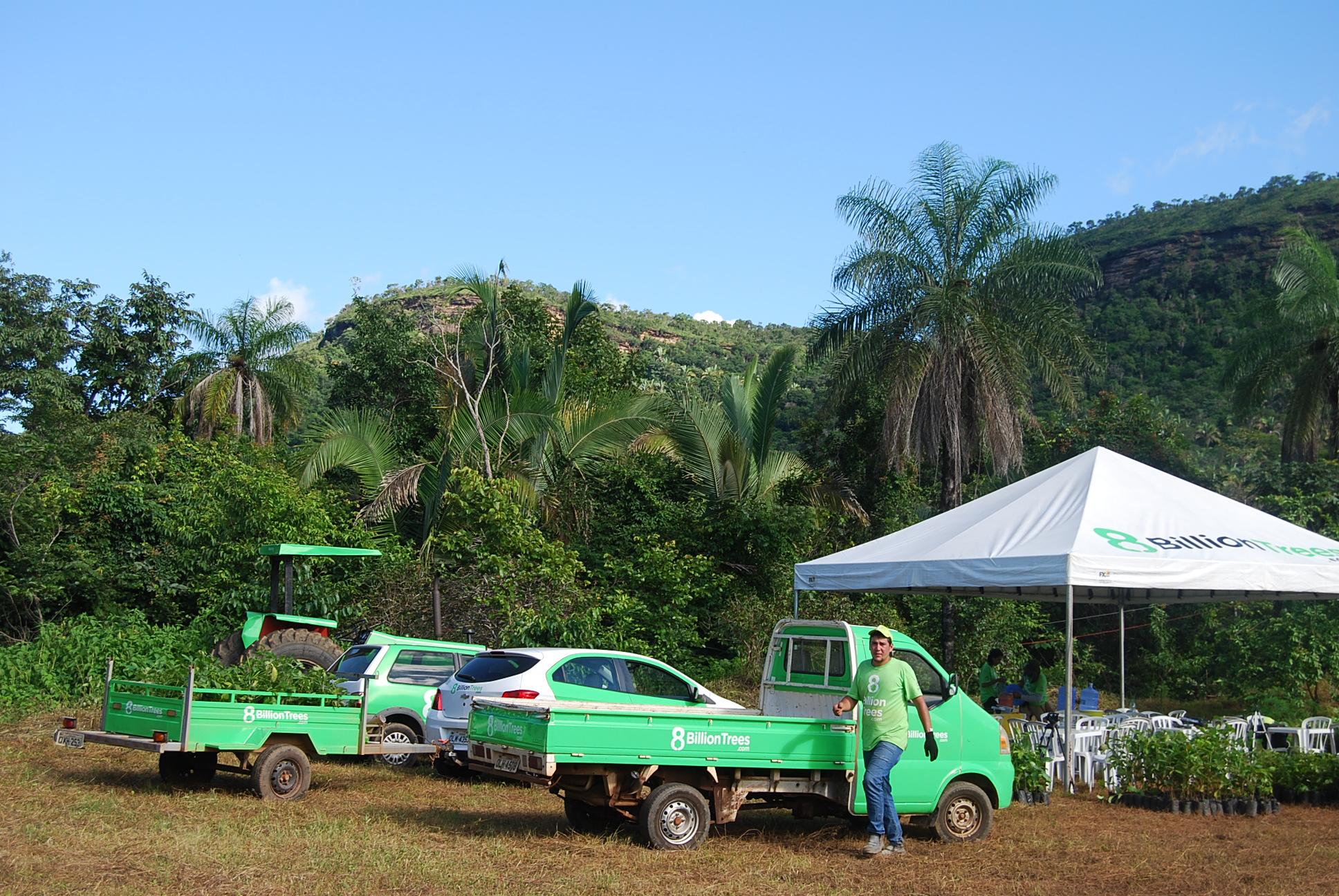 8 Billion Trees Saves Animals & Trees Around The World Save The Earth